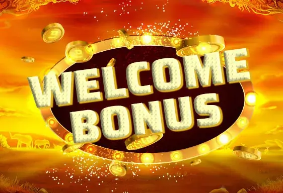 Videoslots welcome bonus